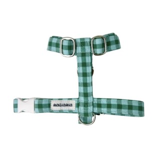 Arnés H Vichy Bicolor Verde