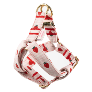 Arnés Simple Strawberry