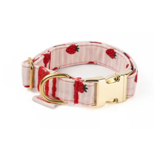 Collar Click Strawberry
