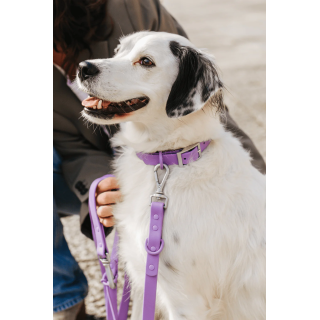 Collar Waterproof Lavanda