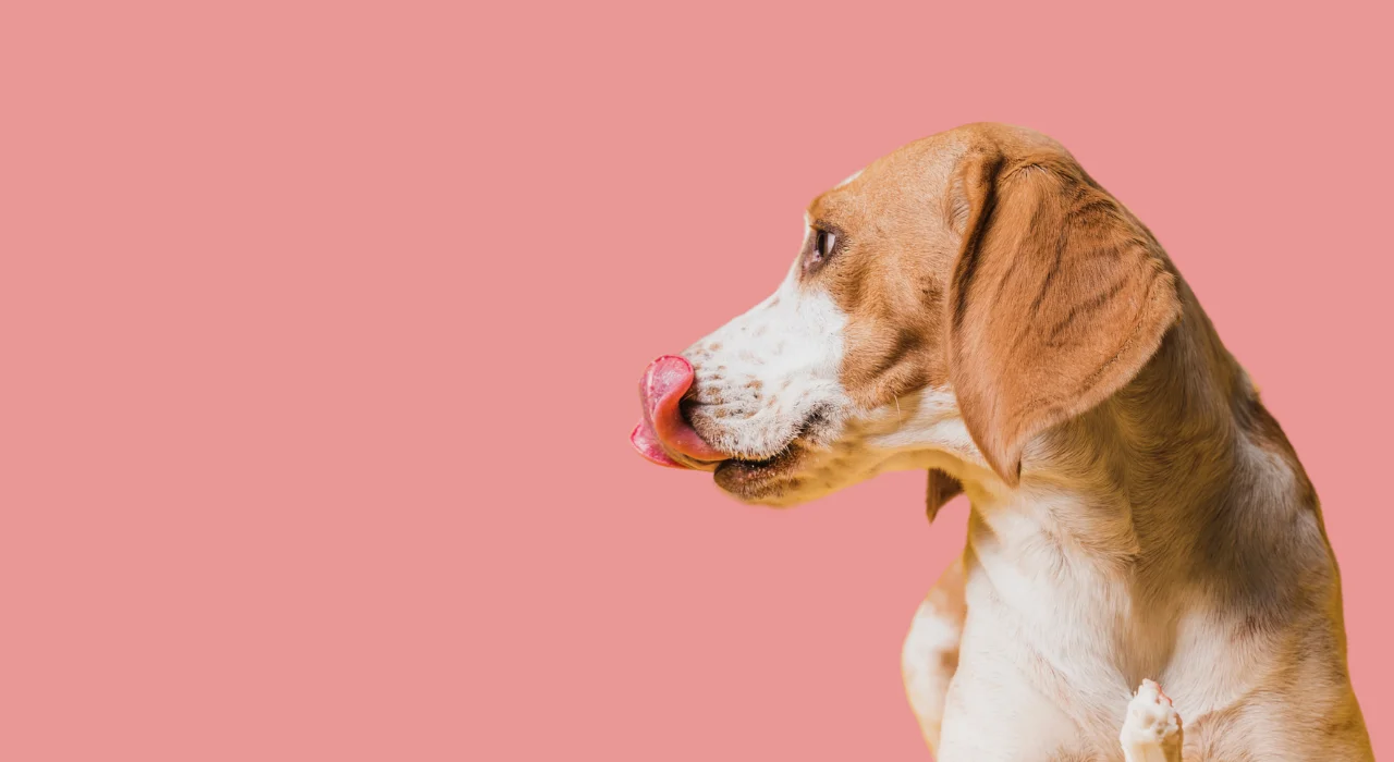 Woman in kitted sweater